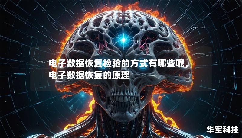 電子數(shù)據(jù)恢復(fù)檢驗(yàn)的方式有哪些呢，電子數(shù)據(jù)恢復(fù)的原理