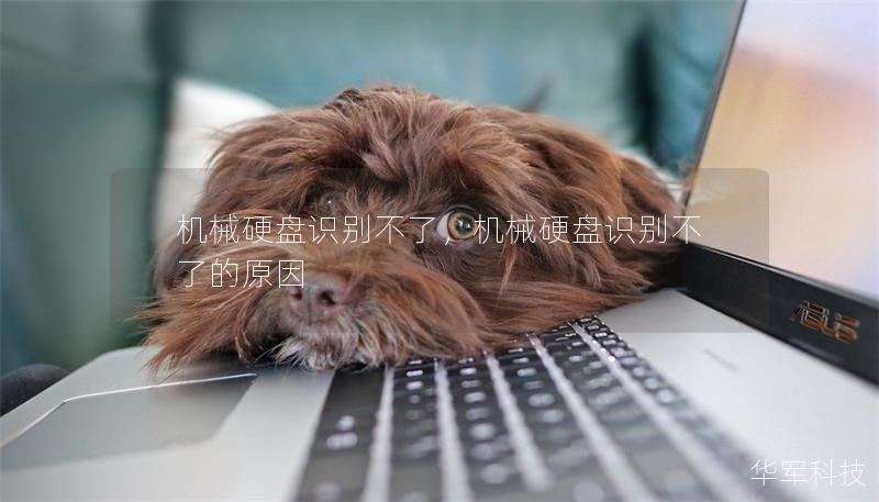機械硬盤識別不了，機械硬盤識別不了的原因