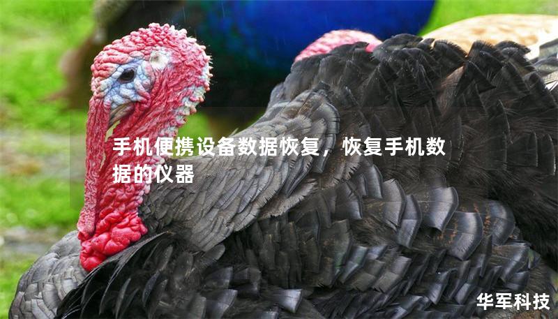 手機便攜設備數據恢復，恢復手機數據的儀器