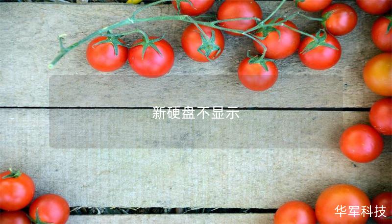 新硬盤不顯示