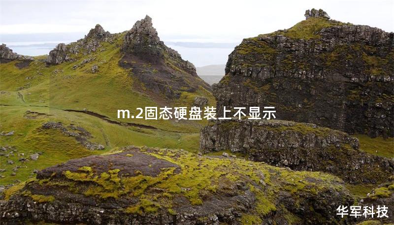 m.2固態硬盤裝上不顯示