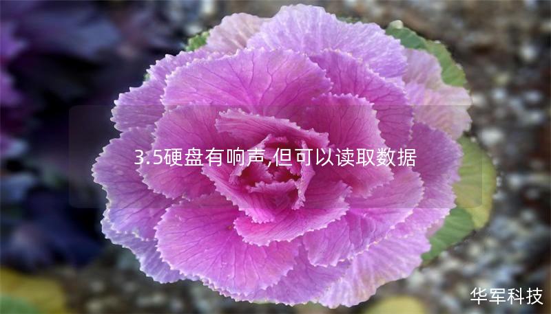 3.5硬盤有響聲,但可以讀取數(shù)據(jù)