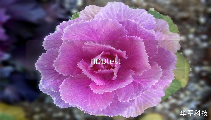 HDDtest