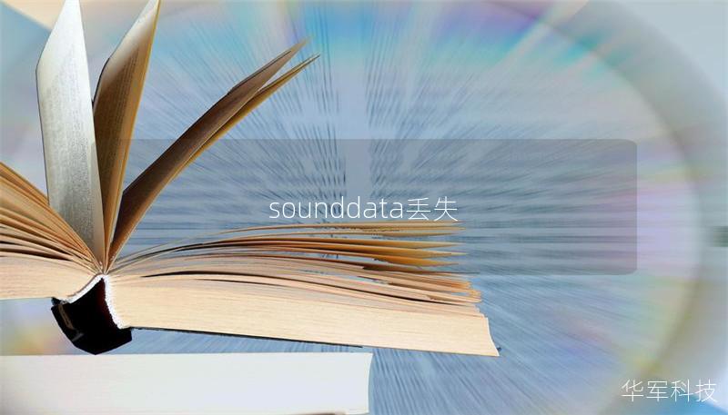 sounddata丟失