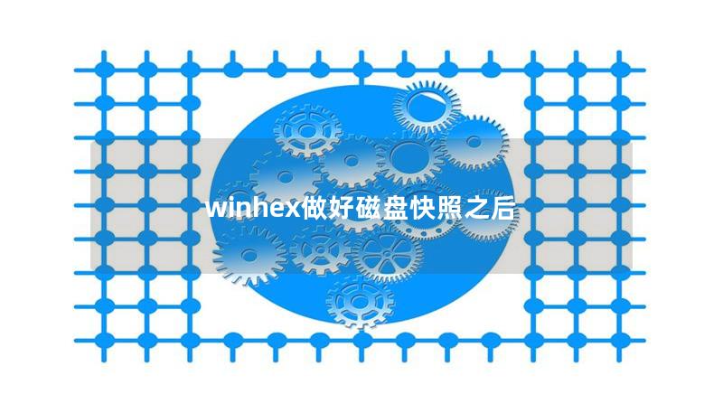 winhex做好磁盤快照之后