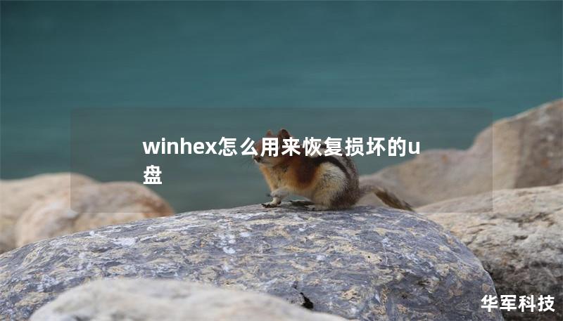 winhex怎么用來恢復損壞的u盤
