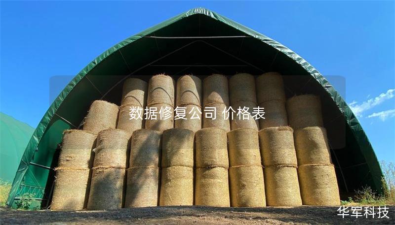 數(shù)據(jù)修復(fù)公司 價格表