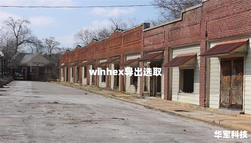 winhex導出選取