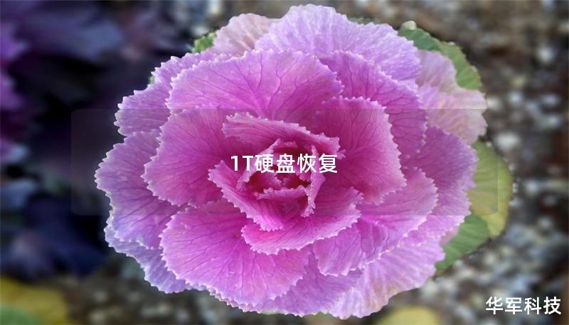 1T硬盤恢復