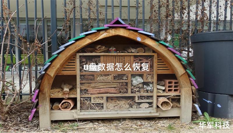 u盤數據怎么恢復