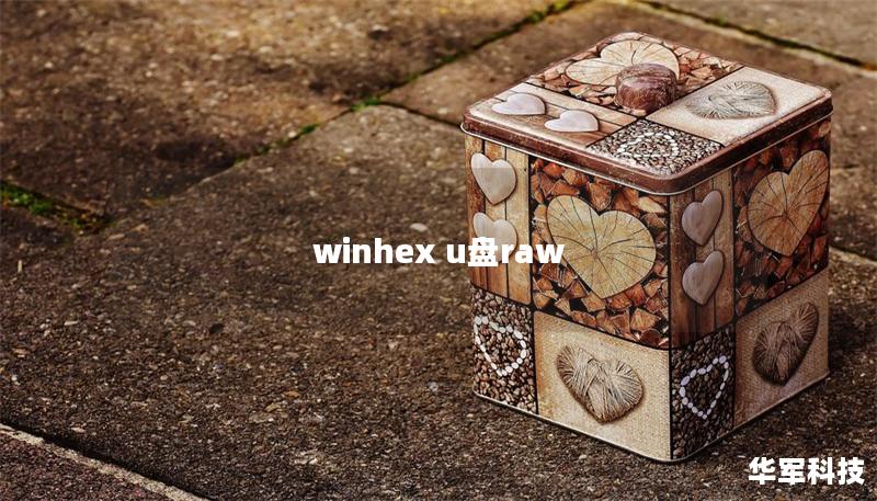 winhex u盤raw