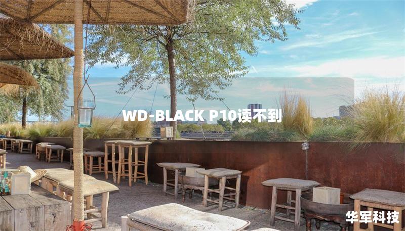 WD-BLACK P10讀不到