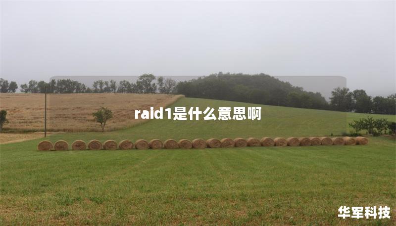 raid1是什么意思啊