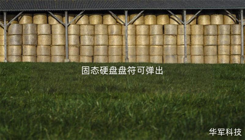 固態硬盤盤符可彈出