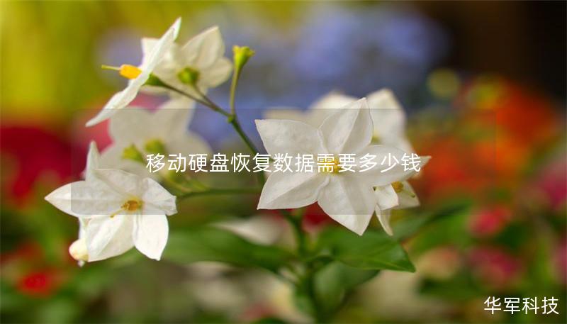 移動硬盤恢復數據需要多少錢