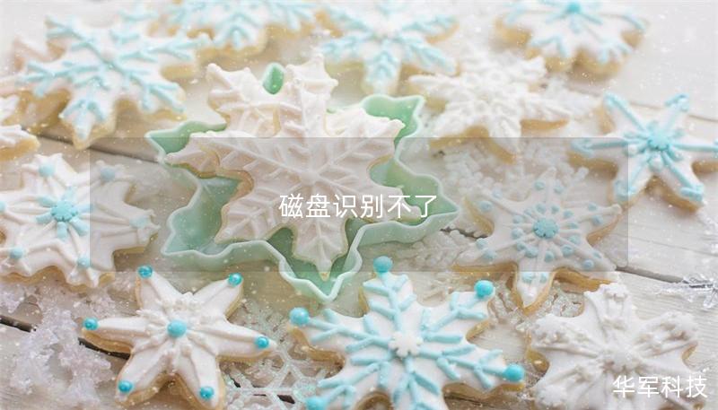 磁盤識別不了