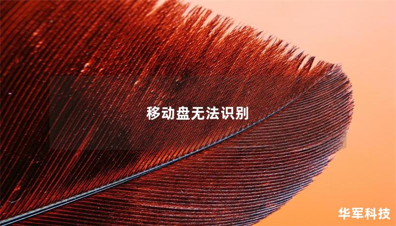 移動(dòng)盤(pán)無(wú)法識(shí)別