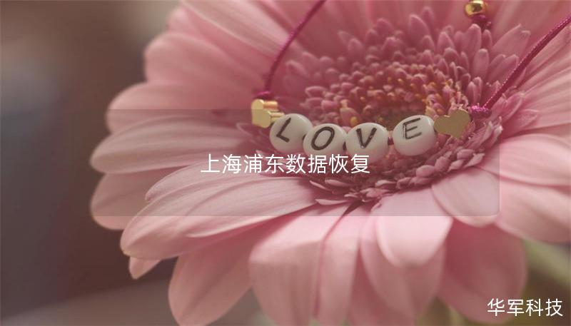 上海浦東數據恢復