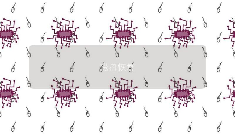 磁盤恢復