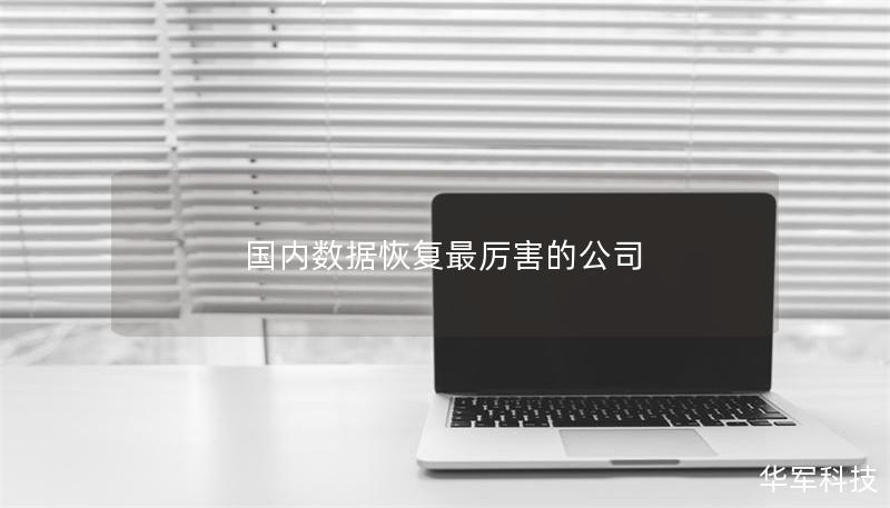國內數據恢復最厲害的公司