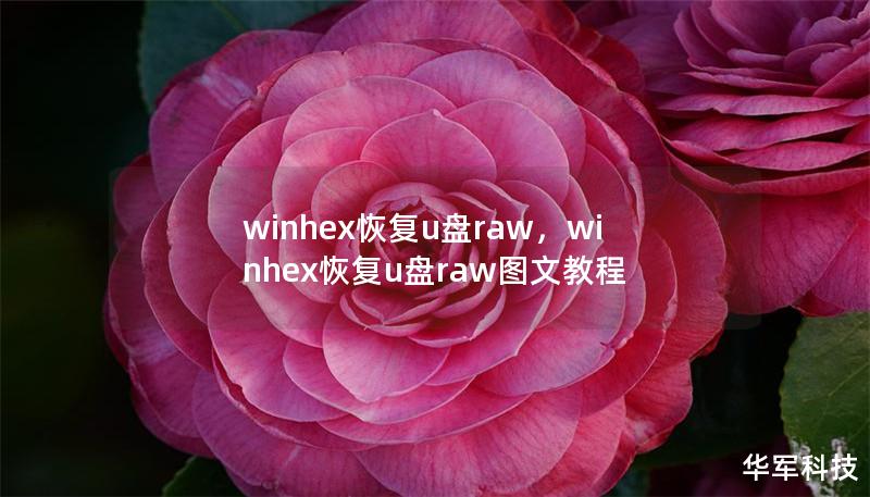 winhex恢復(fù)u盤raw，winhex恢復(fù)u盤raw圖文教程