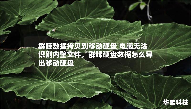 群暉數據拷貝到移動硬盤 電腦無法識別內壁文件，群暉硬盤數據怎么導出移動硬盤