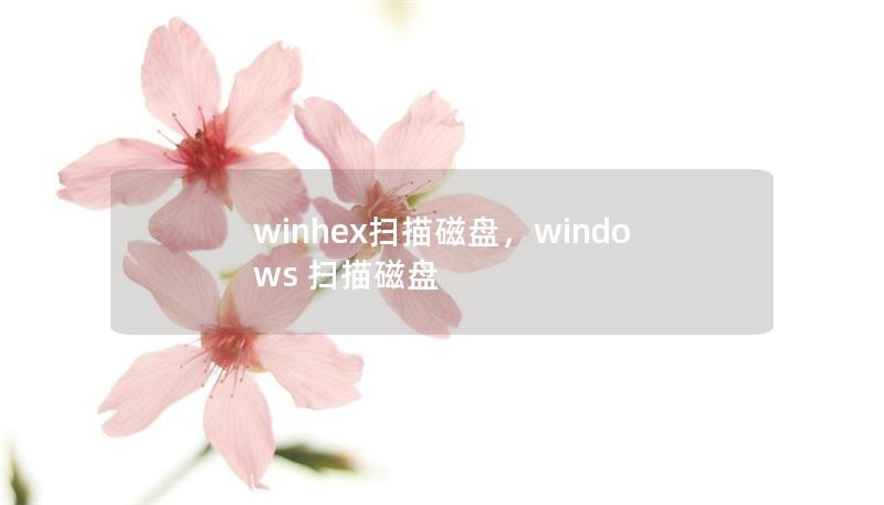 winhex掃描磁盤，windows 掃描磁盤